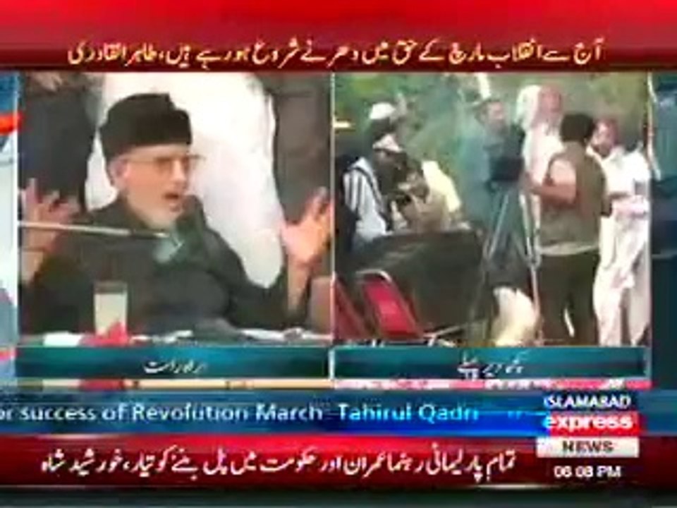 خوف سے تھرتھراتا انقلابی مچھر