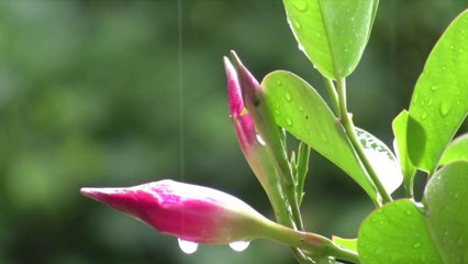 Sometimes When It Rains - Secret Garden - Violin HD 1080p