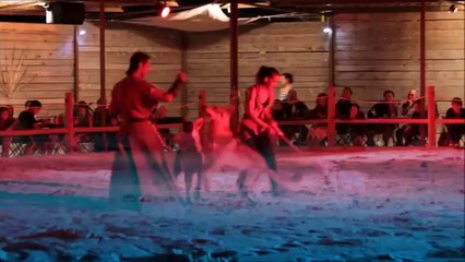 HERAULT - 2014 - ASPIRAN - SPECTACLE DE FAUCONNERIE "DES CRINS ET DES AILES" - DAVY LACROIX