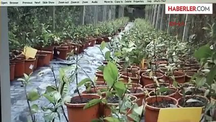 Üniversiteden Çevre Dostu Biyolojik Gübre