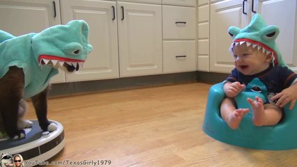 Cat VS Baby : hilarious shark costume!