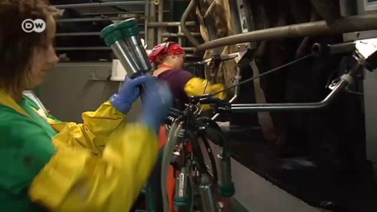 Russisches Importverbot trifft lettische Bauern  | Wirtschaft kompakt