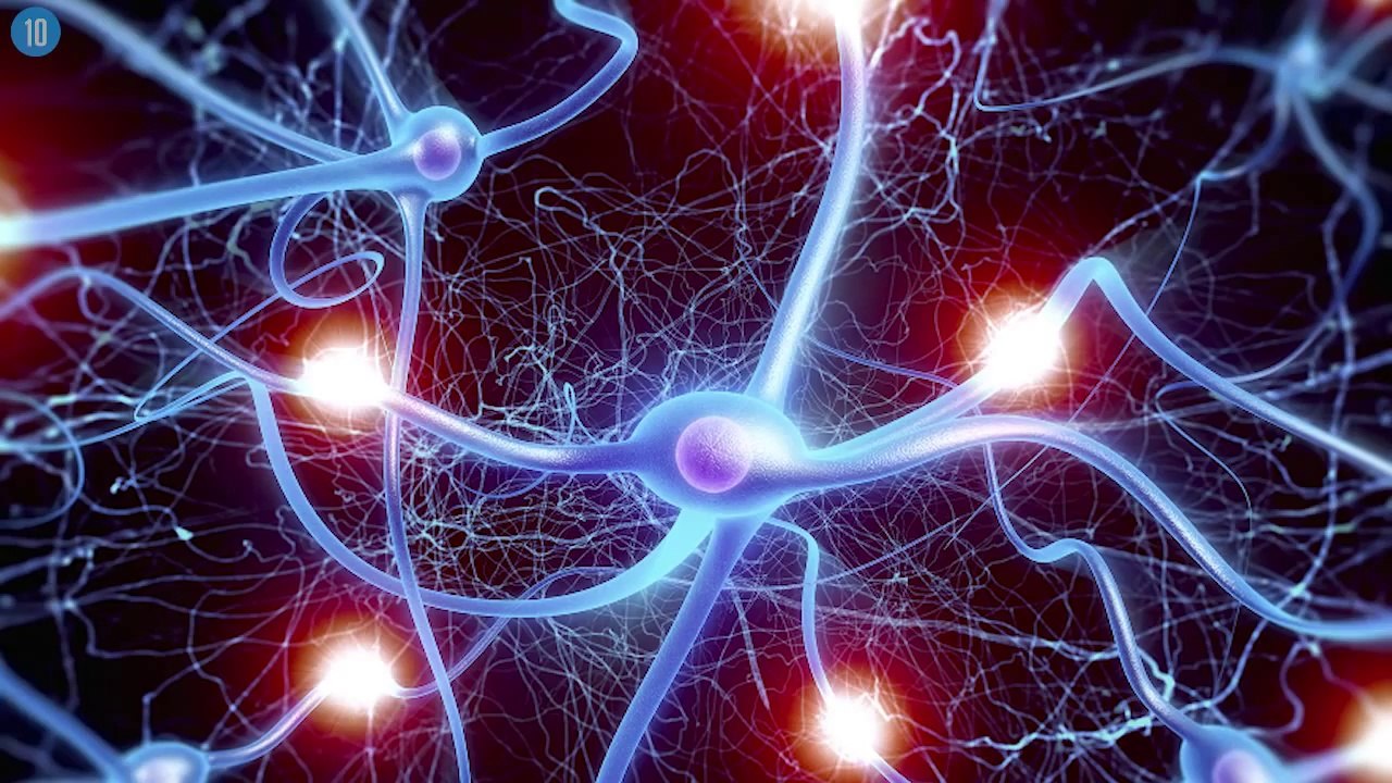 Amazing Facts You Didn't Know About Yourself