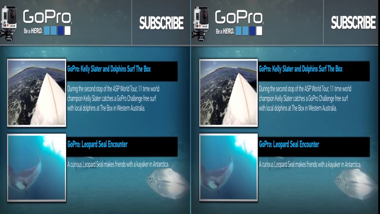 Nourrir des dizaines de requins! Terrifiant.