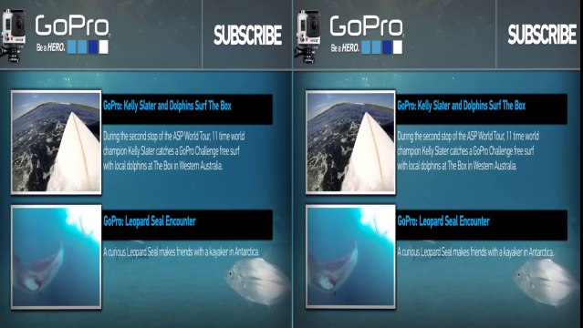 Nourrir des dizaines de requins! Terrifiant.