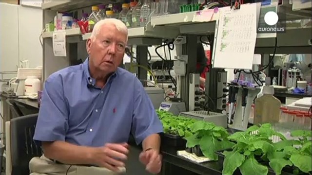 Ebola: 17 contagiati in fuga in Liberia. In California si lavora al siero per la cura