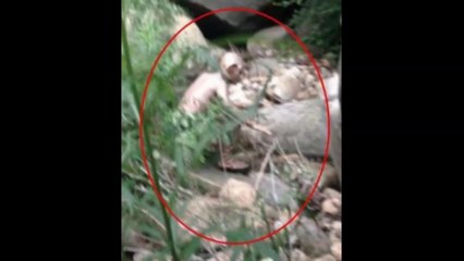 In China, we have found Gollum from The Lord Of The Rings