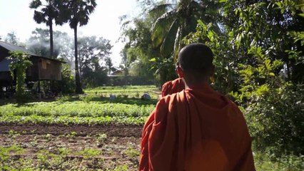 Sarmad Masud - Writer, Director Showreel