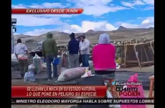 MACA reportage Pérou