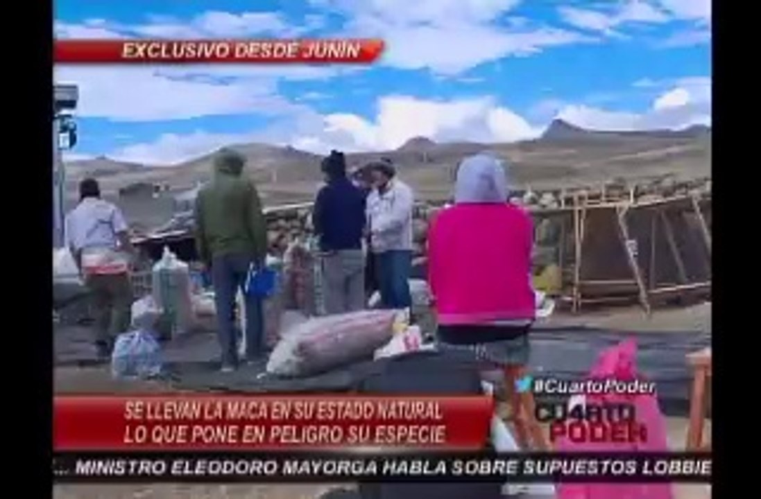 MACA reportage Pérou