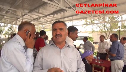 ceylanpınar muhtarlar dedaş