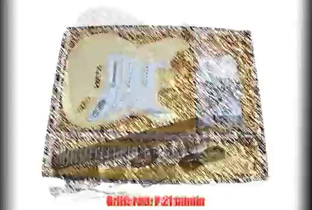 E-Gitarren-Bausatz/Guitar DIY Kit ML-Factory Style I