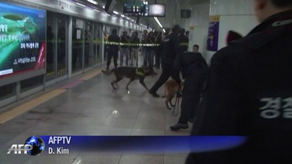 South Korea holds annual safety drill