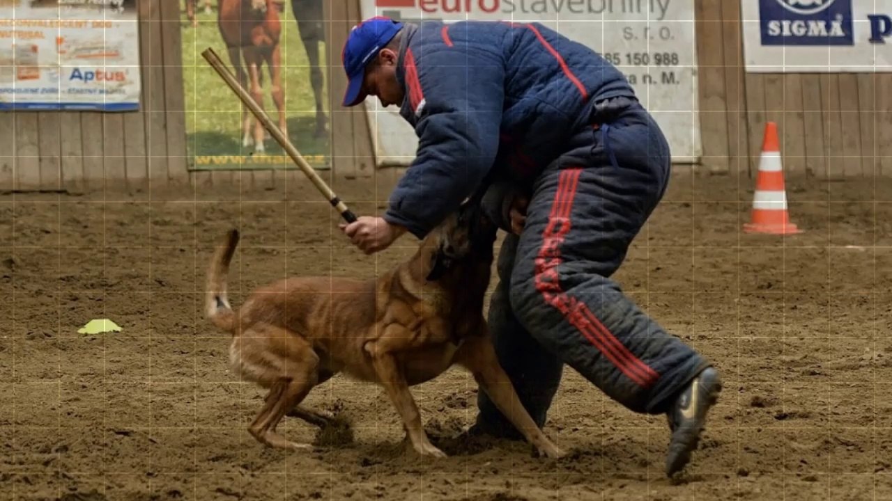 Kosmo van de Boerenkrijg @ CZ National Championships 2014