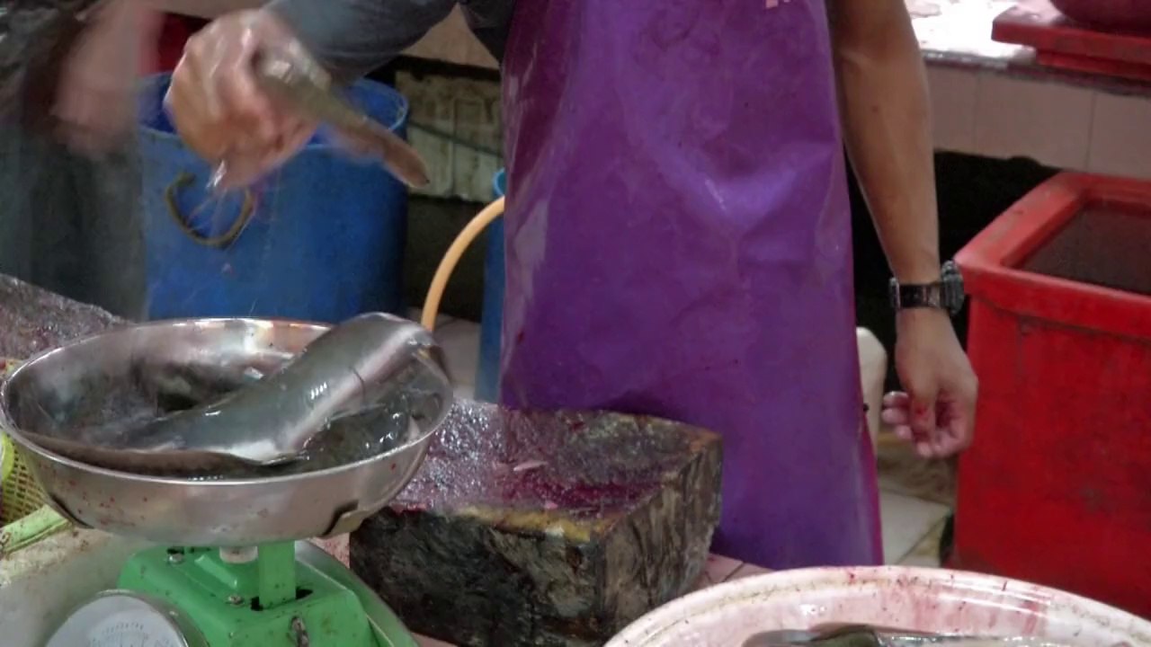 Stumm wie fische? malaysier orten schwärme mit gehör