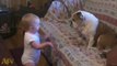 This adorable baby is having an argument... with a dog!