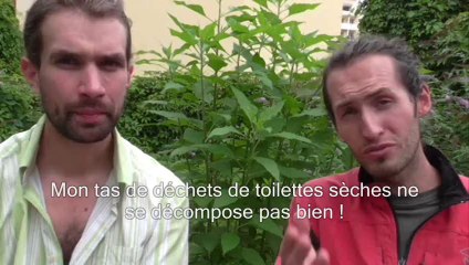 Questions-Réponses - Mouche dans Lombricomposteur - Tas de déchets de toilettes sèches ne se dégrade pas bien