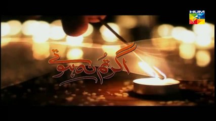 Agar Tum Na Hotay Episode 10 19th August 2014 Full Episode