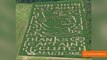 Derek Jeter Honored With His Face Carved In A Corn Maze