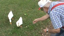 Larry feeding the ducks #2