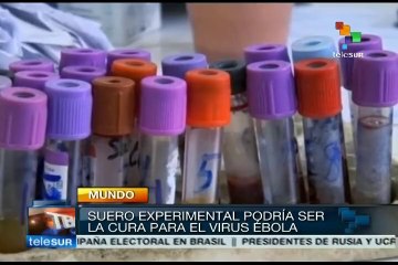 Suero detiene fiebre hemorrágica causada por el ébola