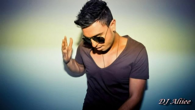 Sean Paul ft. Flo Rida & Faydee - She Doesn't Mind (Remix) DJ Aliiee