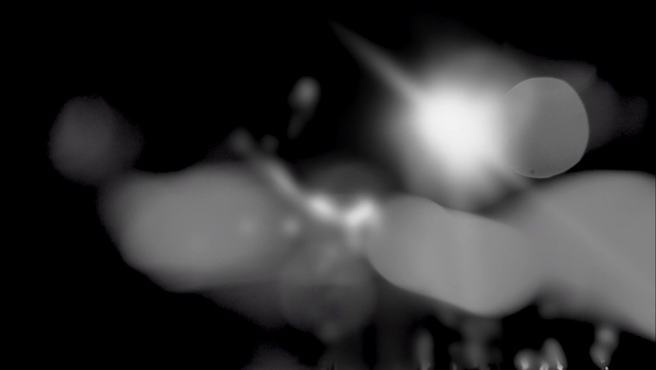 Labirinto - Live in São Paulo (Pretty in Noise Premiere)