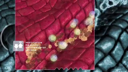 Уникальный и признанный в мире MAX