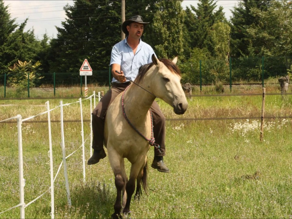1ère séance de liberté montée