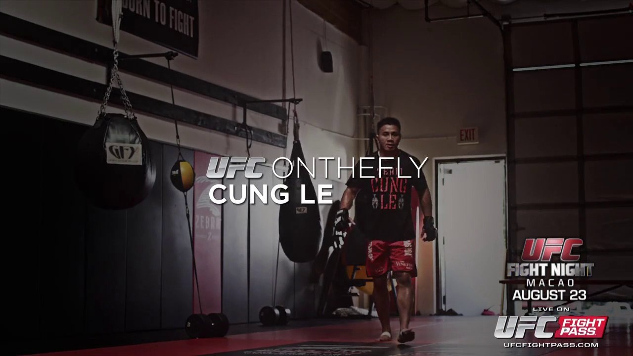 UFC on the Fly: Cung Le