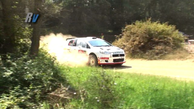 2014 AVIS Boğaziçi Rallisi / Fatih Kara - Güray Karacar / Fiat Grande Punto S2000