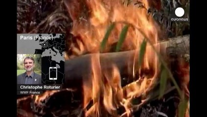 El déficit ecológico anual se adelanta un día y empieza en 2014 el 19 de agosto