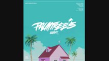 Flatbush ZOMBiES - Palm Trees (INSTRUMENTAL)