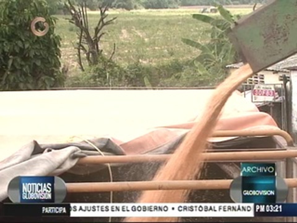 Establecen creación de registro único permanente de productores agrícolas