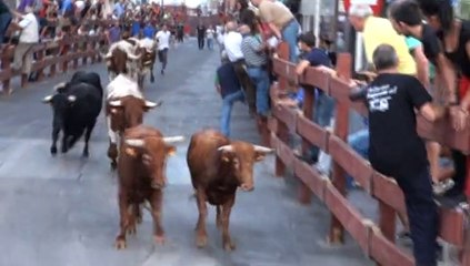 TERCER ENCIERRO DE LAS FIESTAS DE LEGANÉS 2014