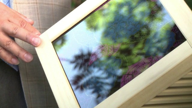 A luz das hortênsias