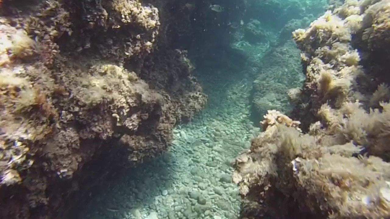 Sous marine