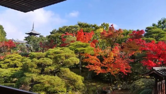 仁和寺＠京都の画像集　Ninna-ji in Kyoto