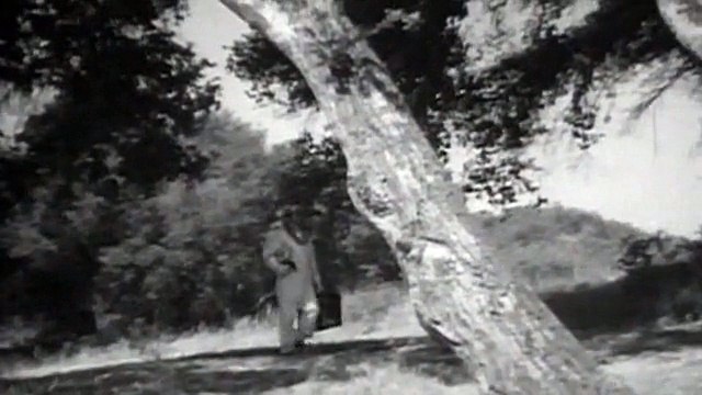 The Wasp Woman (1959) - Susan Cabot, Anthony Eisley and Barboura Morris - Feature (Horror/Sci-Fi)