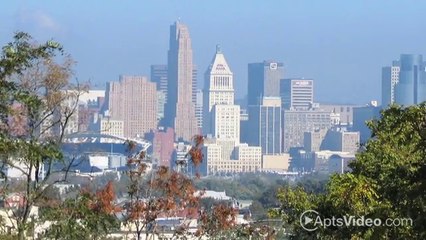 Crown Pointe Apartments in Covington, KY - ForRent.com