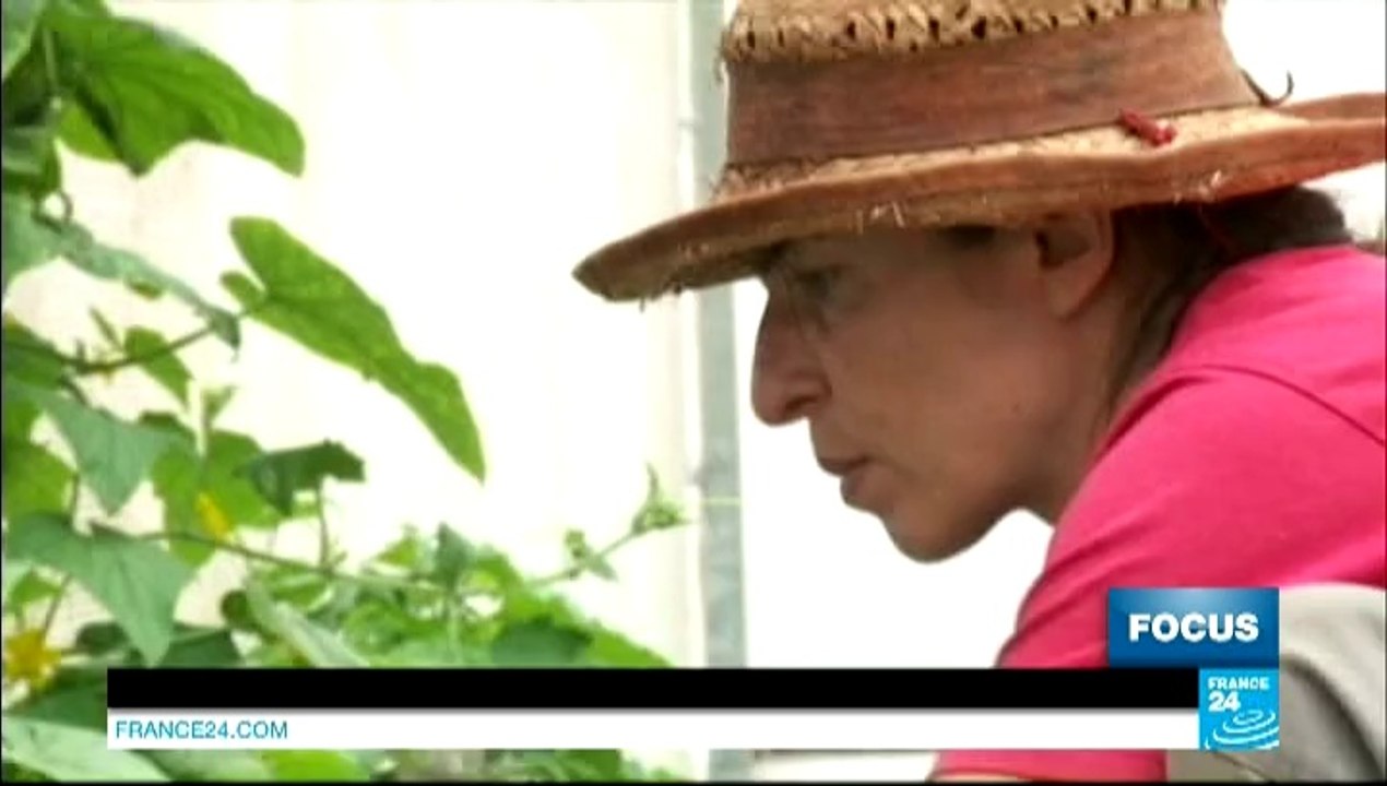 ESPAGNE - El Hierro, première île 100 % énergies renouvelables, peut-elle être un modèle pour la planète ?