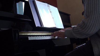 2014 Obispo Allée Rimbaud, ce qu'on voit version piano