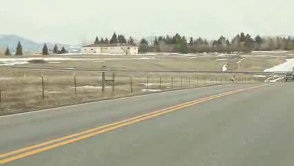 Massive herd of elk in Montana