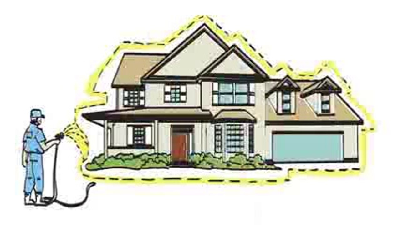 3 Steps to Pest Control - Ecoshield