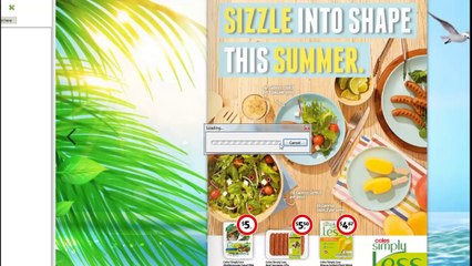 Insert Multimedia Content to FlipBook by PUBHTML5