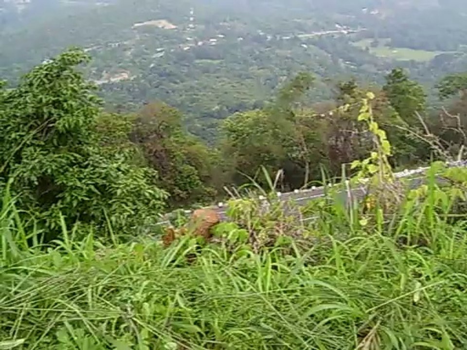 Trip Videos - 1