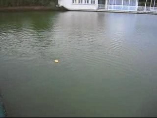 1er Essai Catamaran Boat 110207