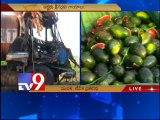 2 killed as Oil Tanker, Lorry collide in Nellore