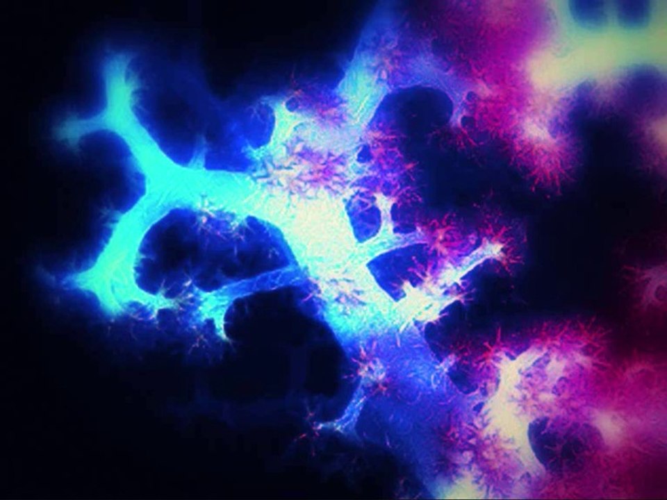 R. Vaughan Williams - Full Fathom Five