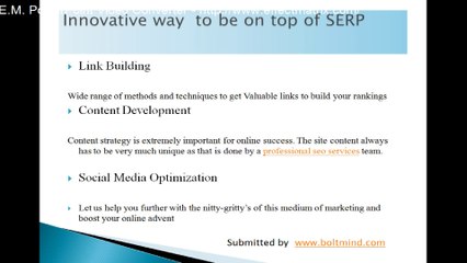 professional seo services